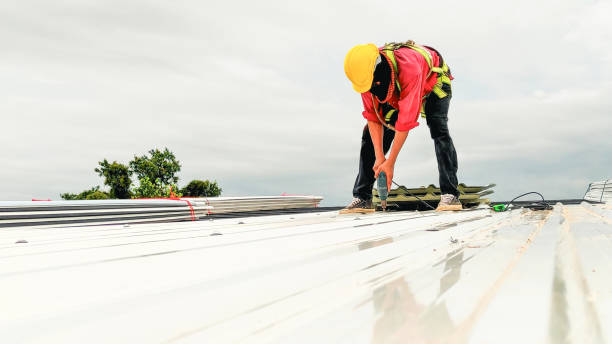 Best Roof Ventilation Installation  in Avis, PA